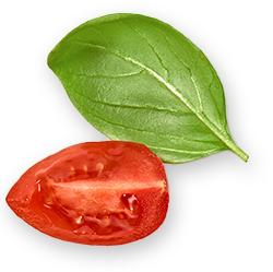 tomat leaf.png